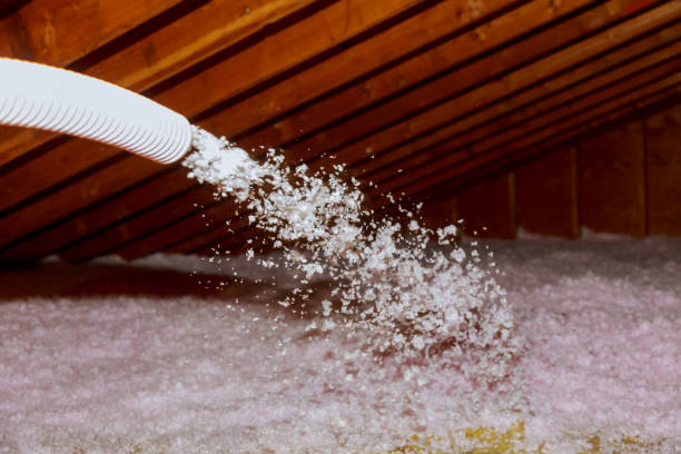 Best Geographic-Specific Insulation Services in Coon Rapids, IA