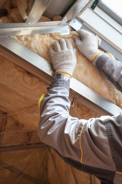 Best Specialized Insulation Services in Coon Rapids, IA