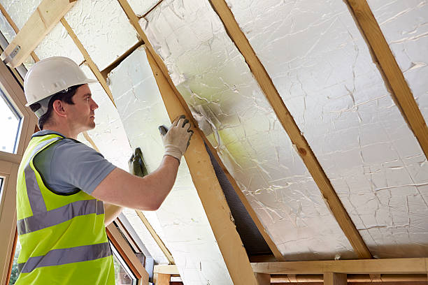 Best Cellulose Insulation in Coon Rapids, IA