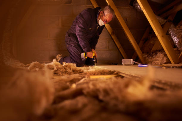 Best Commercial Insulation in Coon Rapids, IA